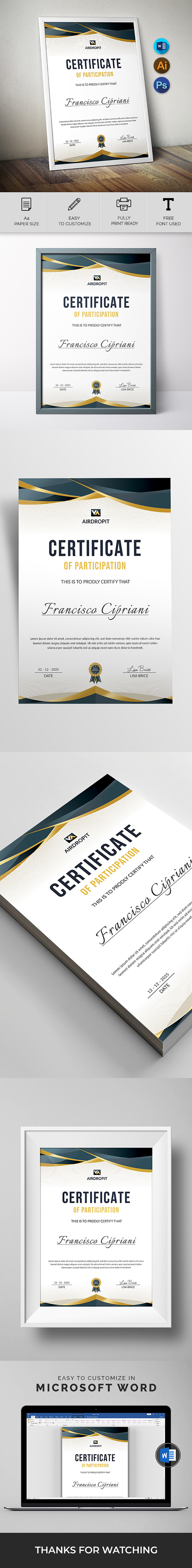 Professional Certificate Design, Instant Download, MS Word and Canva Template - Features Image 1