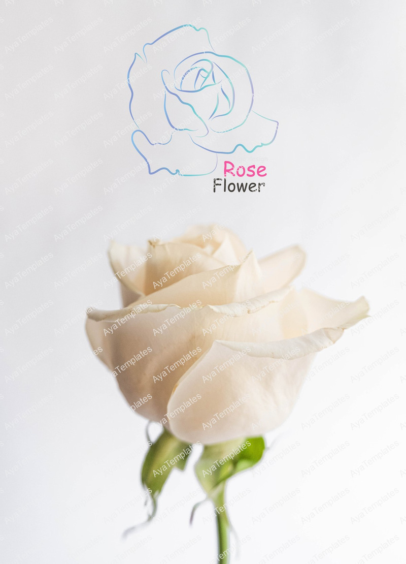 Plantilla de diseño de logotipo de flor rosa - Características Imagen 3