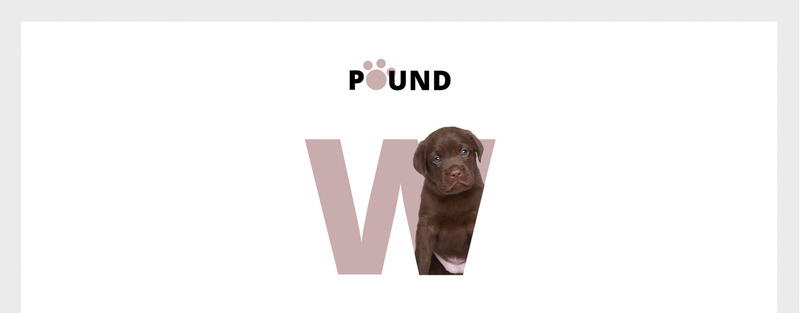Pound - Бесплатный адаптивный шаблон сайта по уходу за животными - Features Image 1