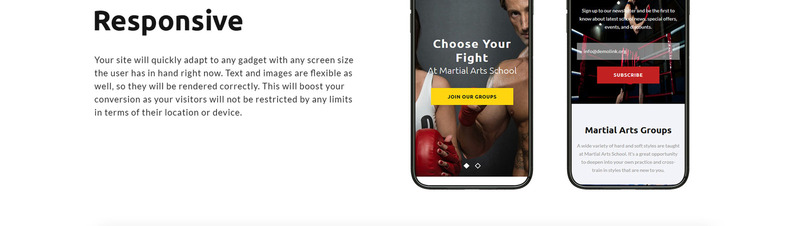 Martial Arts School Free Landing Page Template - Features Image 8
