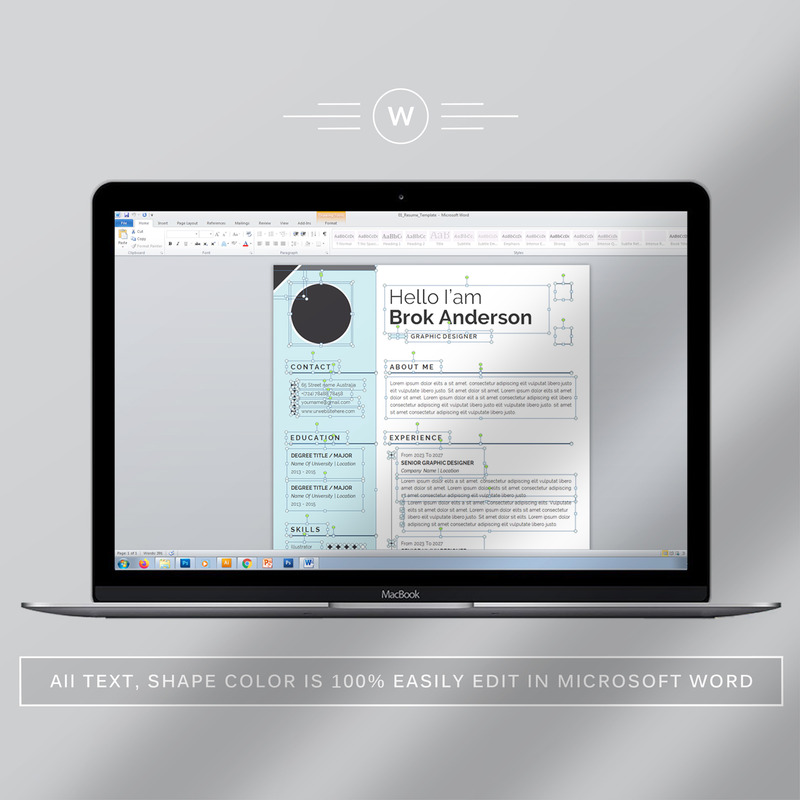 Clean & Elegant Resume/CV Template - Features Image 4