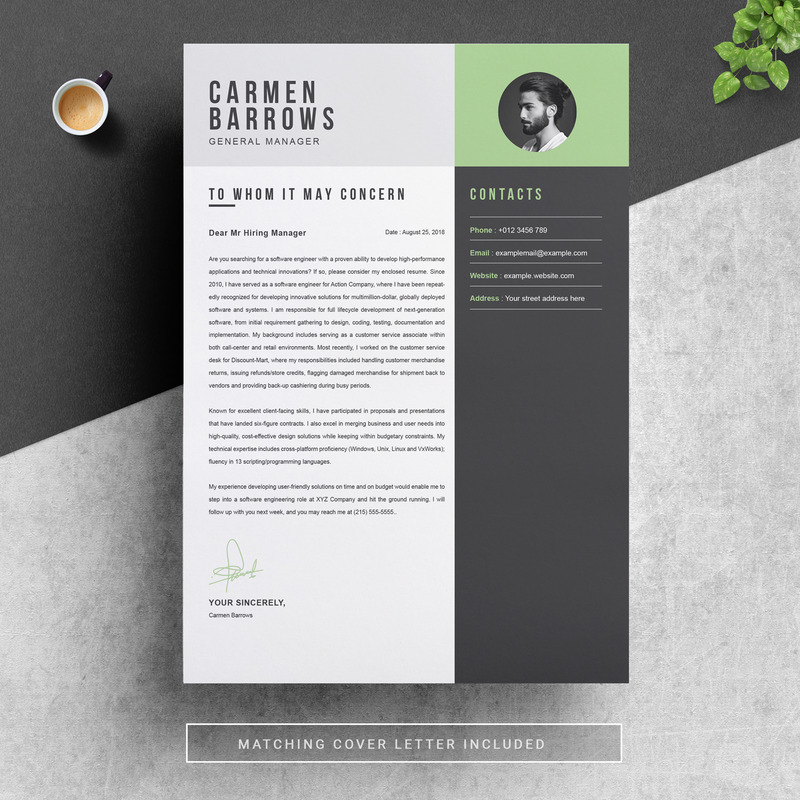 Carmen Printable Resume Templates - Features Image 4