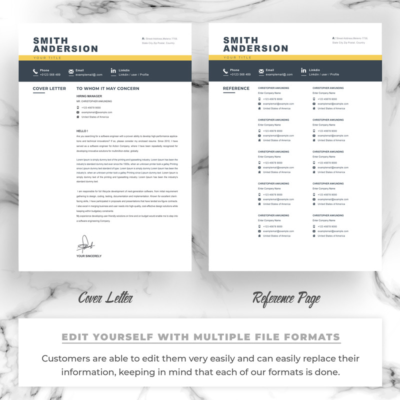 Anderson / Curriculum professionale - Caratteristiche Immagine 3