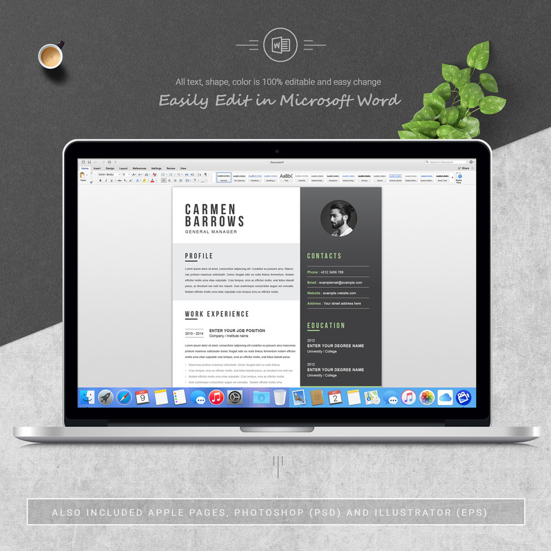 Carmen Printable Resume Templates - Features Image 5