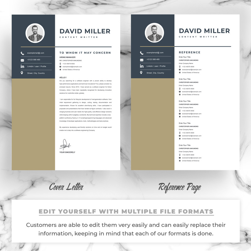 David Miller / Modello di curriculum - Caratteristiche Immagine 3