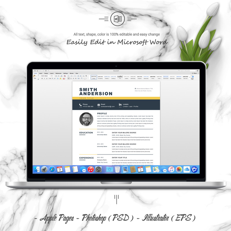Anderson / Curriculum professionale - Caratteristiche Immagine 5