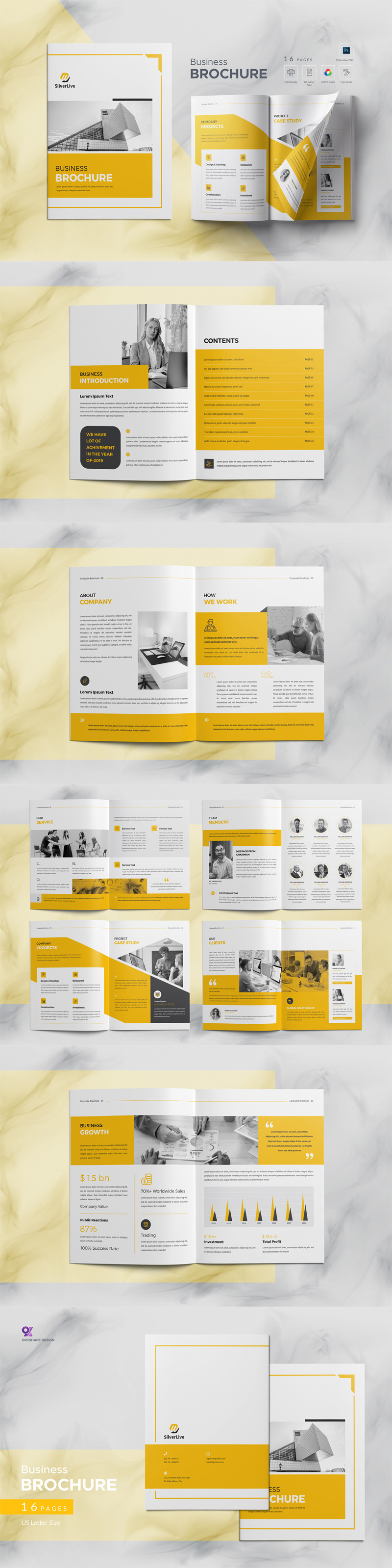16 Pages Yellow Business Brochure Layout Design - Features Image 1