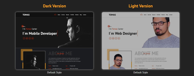 Tomas - Personal Portfolio Landing Page Template - Features Image 2