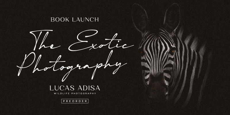 Отвлечение - эстетическая подпись - Features Image 5