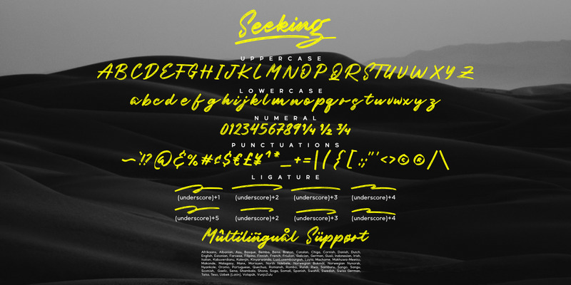 Seeking / casual brush font - Features Image 11