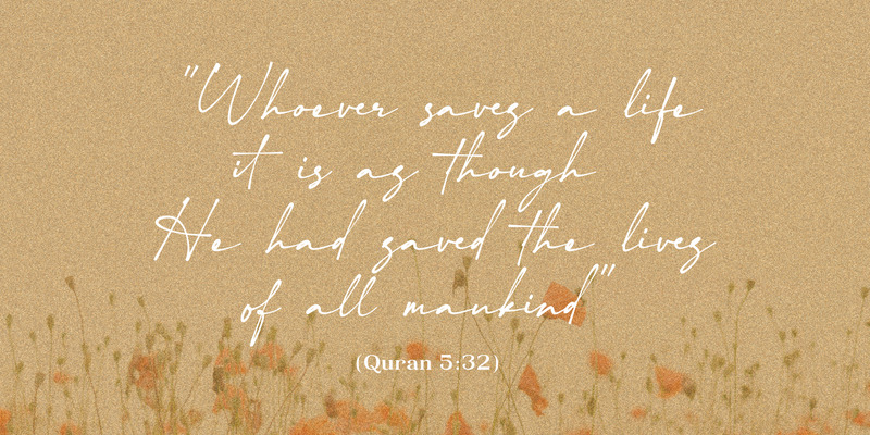 Отвлечение - эстетическая подпись - Features Image 13