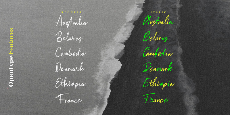 Rickstar Stubbly / Elegant Typeface - Features Image 3