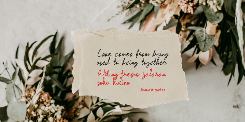 Malestone Antholy / Handwriting type - Features Image 6