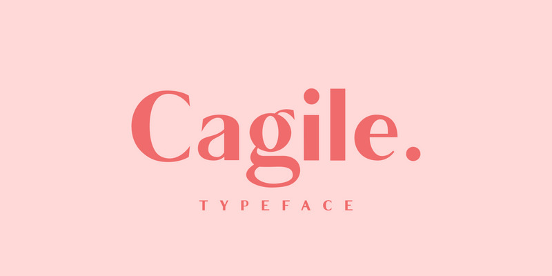 Cagile / 4 Styles Sans Font - Features Image 1