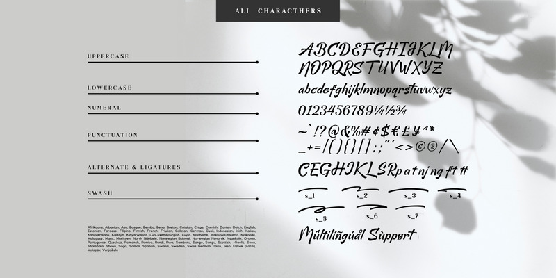 Minimalist Şık / Sans Script - Features Image 11