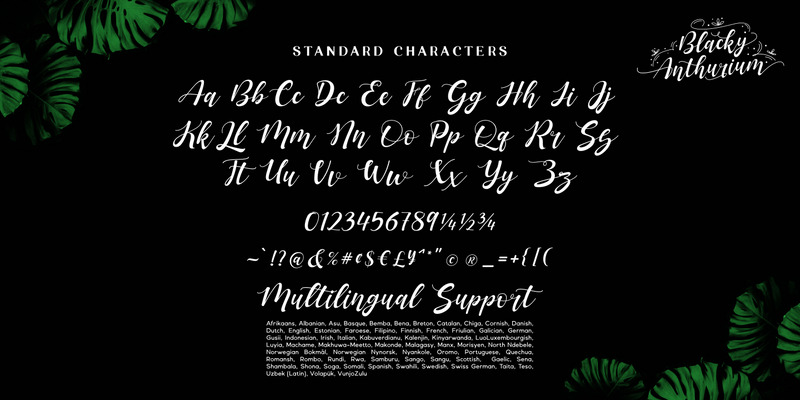 Blacky Anthurium / bouncy pretty font - Features Image 12