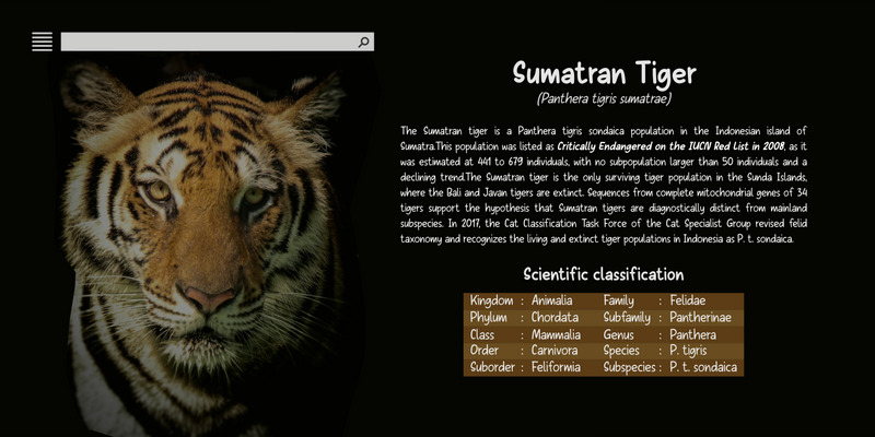 Sans Andreas Handwritten Family Fonts - Features Image 2