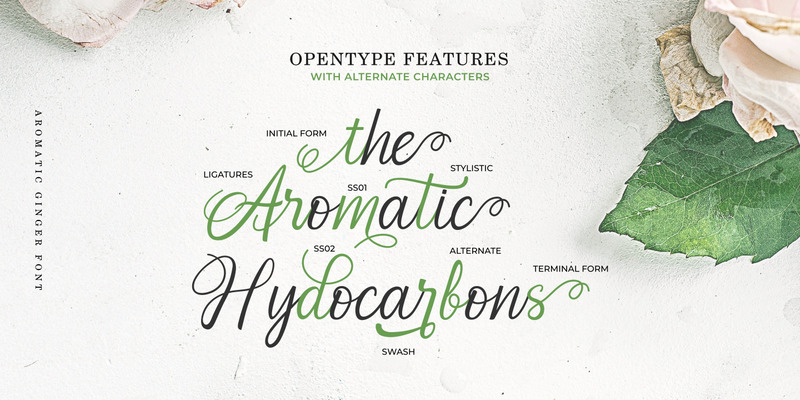 Aromatic Ginger // Calligraphy Font - Features Image 4