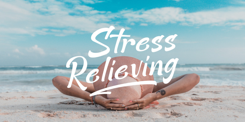 Minimalist Şık / Sans Script - Features Image 4