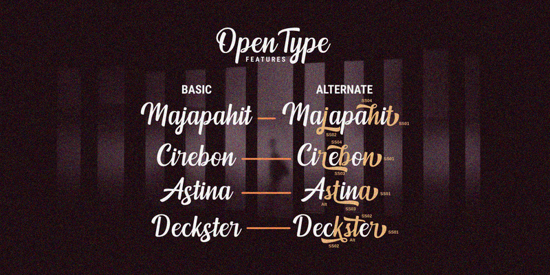 Mendoan Script Font / Pretty Script - Features Image 2