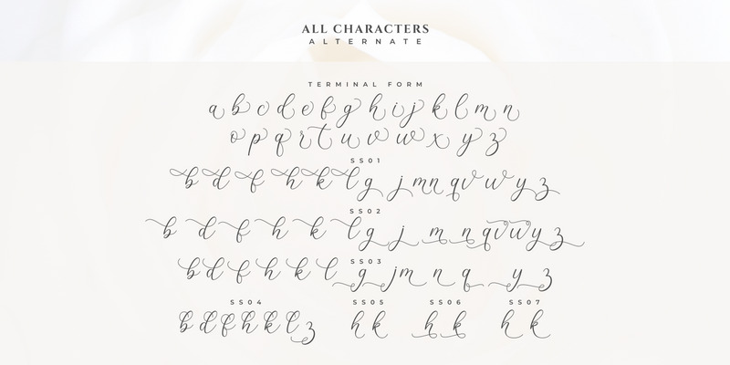 Lizelie Calligraphy Script Font - Features Image 11