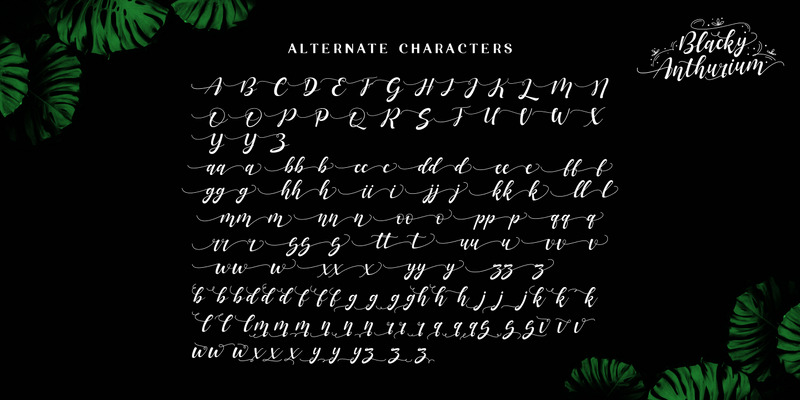 Blacky Anthurium / bouncy pretty font - Features Image 13