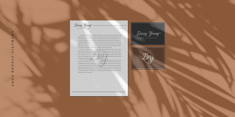 Aromatic Ginger // Calligraphy Font - Features Image 9