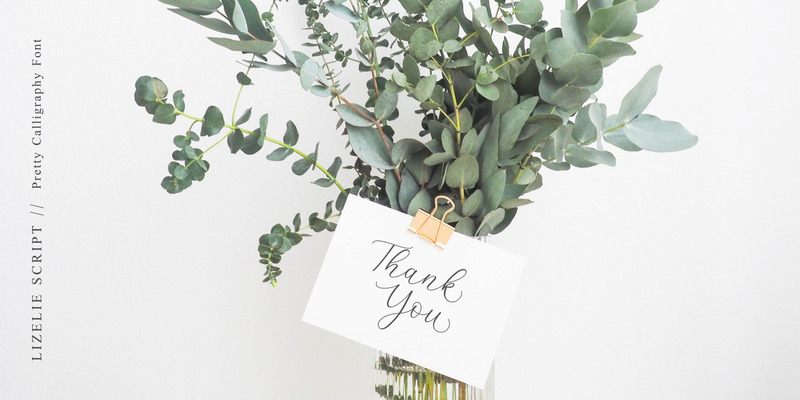 Lizelie Calligraphy Script Font - Features Image 9