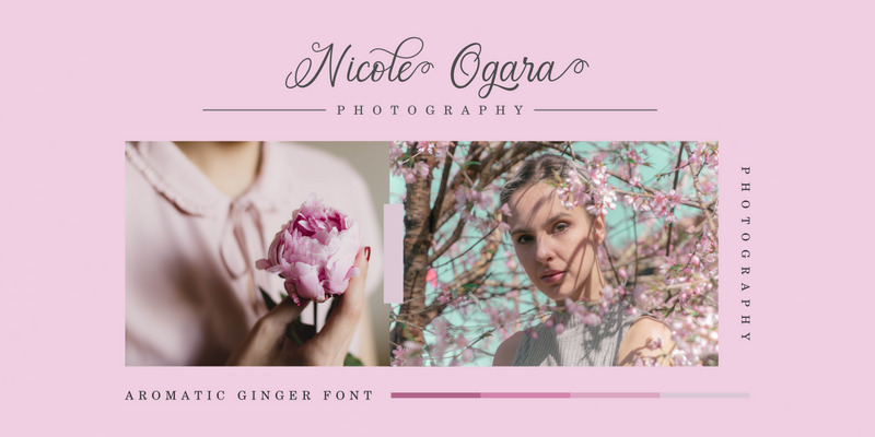 Aromatic Ginger // Calligraphy Font - Features Image 3