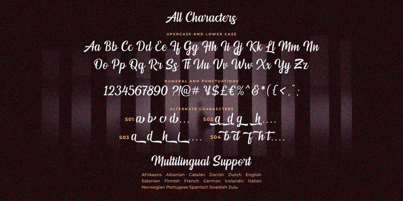 Mendoan Script Font / Pretty Script - Features Image 11