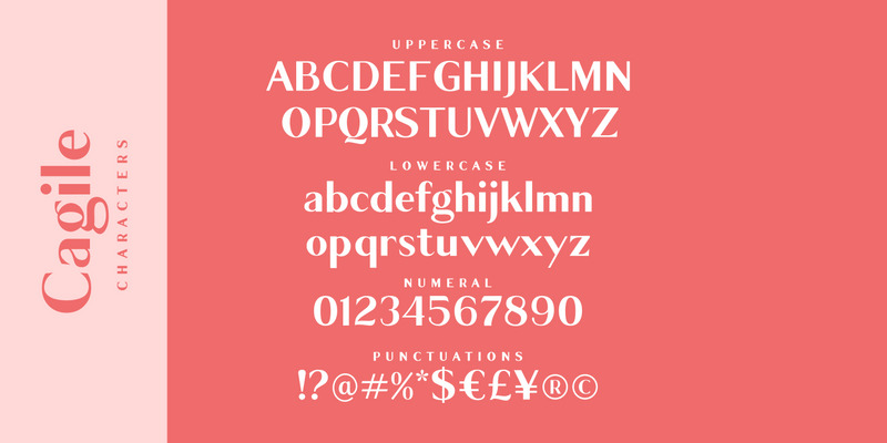 Cagile / 4 Styles Sans Font - Features Image 10
