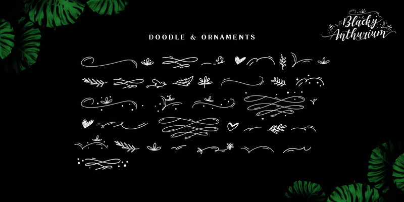 Blacky Anthurium / bouncy pretty font - Features Image 14