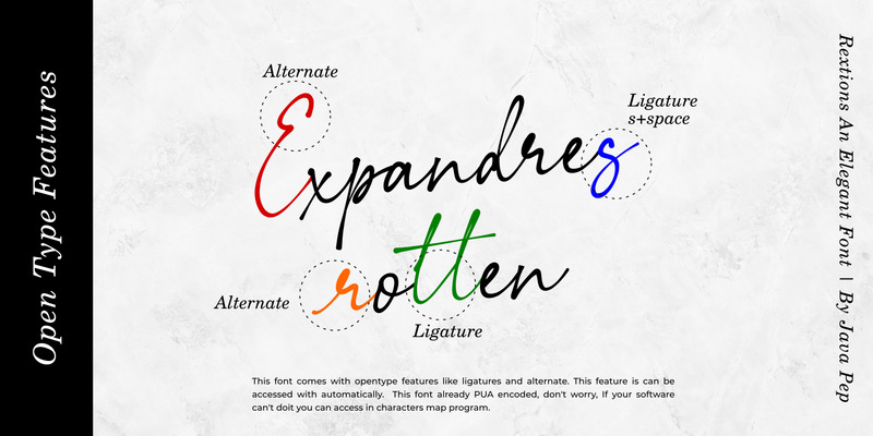 Rextions / ett elegant typsnitt - Features Image 5