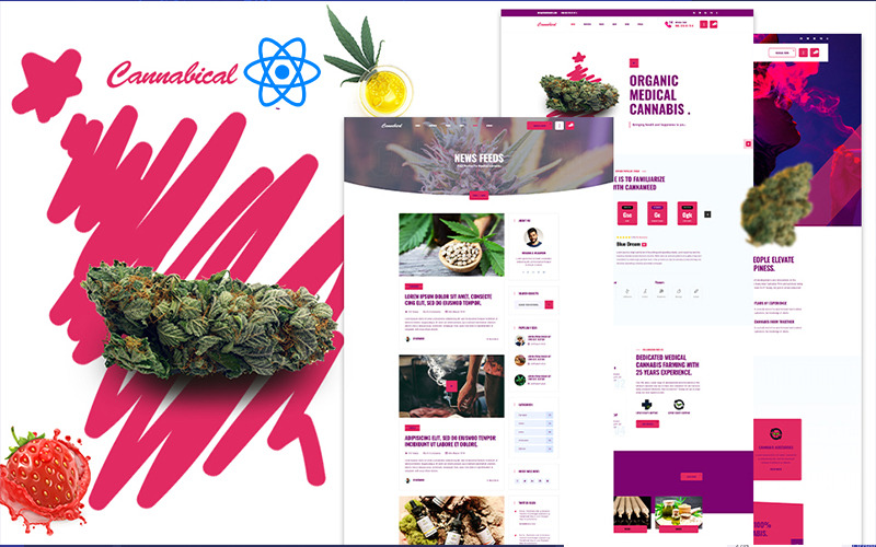 Cannabical Recreational Cannabis React Template - Features Image 1