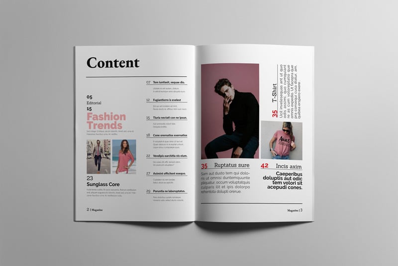 Fashion Magazine Template #03 - Features Image 2