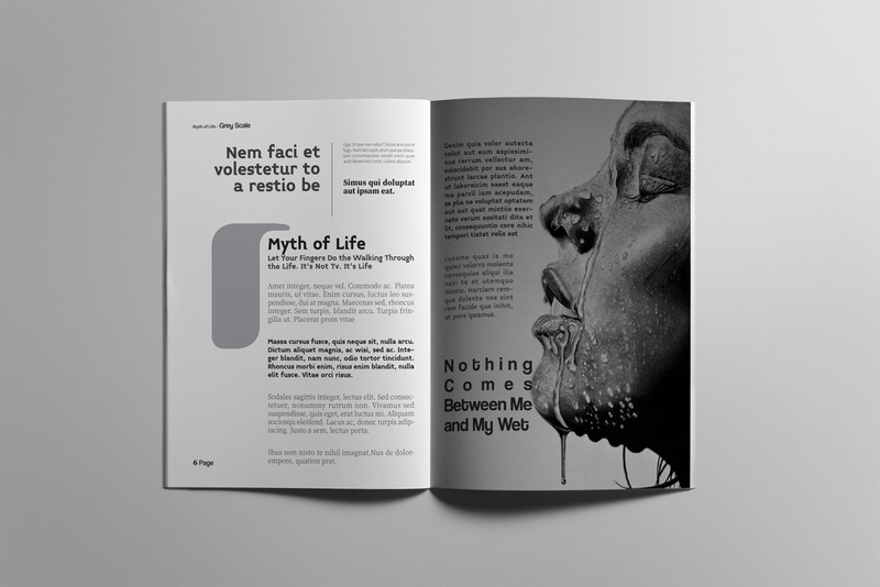 The Best Magazine Layout Design - Features Image 4
