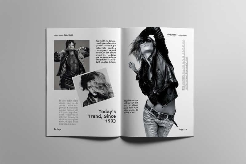 The Best Magazine Layout Design - Features Image 8