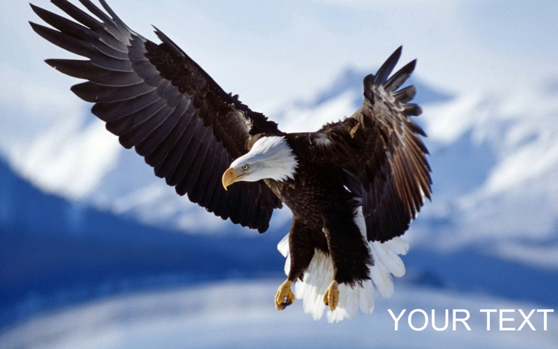 3D Slide Show After Effects Templates - Features Image 2