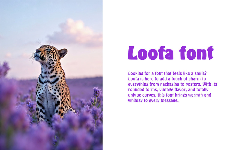 Loofa font-Regular-0120-25 - Features Image 1