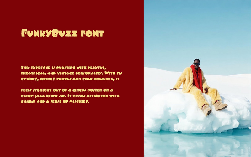 FunkyBuzz font-Regular-086-25 - Features Image 1