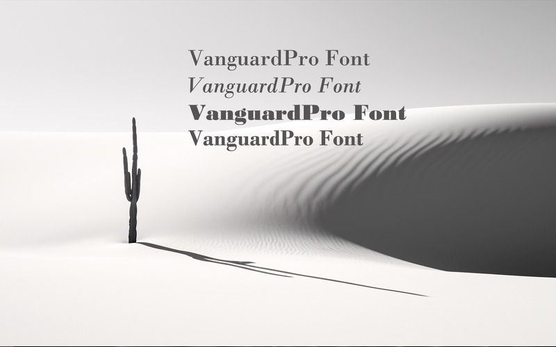 Vanguard Pro font-unique-024-24 - Features Image 1