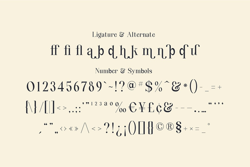 Quinty een luxe serif-lettertypefamilie - Features Image 15