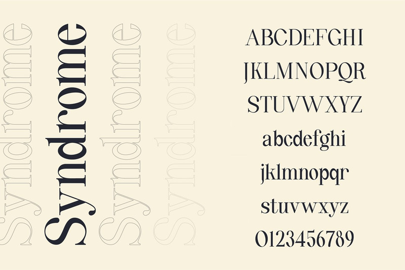 Quinty een luxe serif-lettertypefamilie - Features Image 6