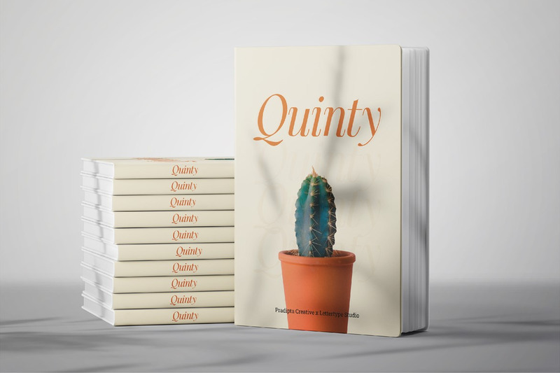 Quinty een luxe serif-lettertypefamilie - Features Image 3