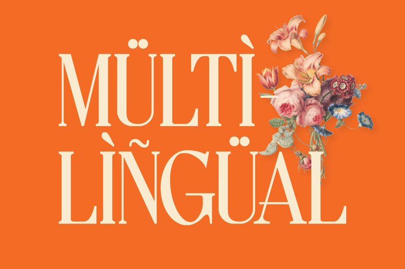 Lettertype a ohromující patkový displej - Features Image 19