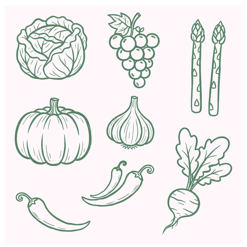 Vintage linjekonst illustrationer av pumpa, kål, vitlök och chilipeppar. - Features Image 1