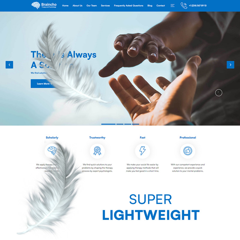 Braincho - Psychologist, Therapy & Psychological Counseling WordPress Theme - Features Image 4