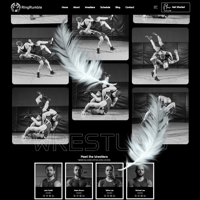 RingRumble - тема WordPress Wrestling - Features Image 4