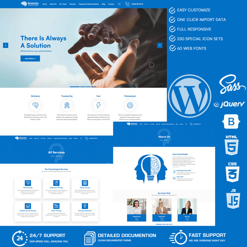 Braincho - Psychologist, Therapy & Psychological Counseling WordPress Theme - Features Image 1
