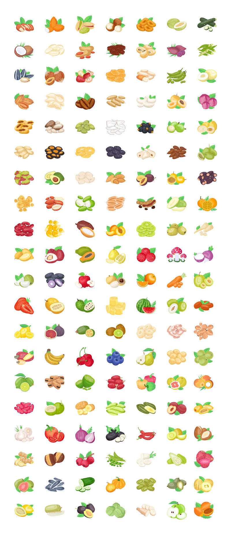 140 Güzel Fındık Vektör - Features Image 1